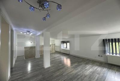 Vila de inchiriat 4 camere, curte generoasa, Zona Lipovei - 10