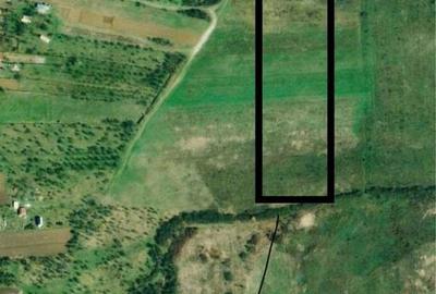 Teren de 8220 mp, în Hunedoara - 2