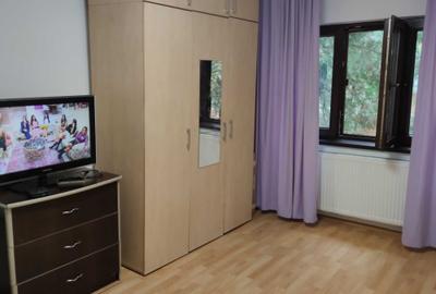 DRISTOR - ZONA FIZICIENILOR - Garsoniera  20 mp - BLOC ANVELOPAT - 1