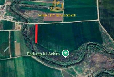 Teren de 5000 mp, în Ciorogârla - 6