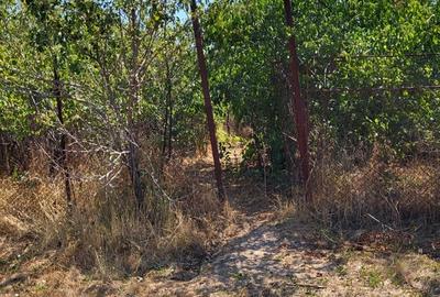 Casă cu 3 camere în Periș - 2