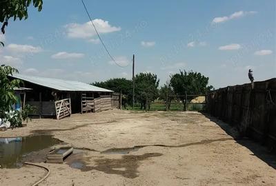 Casă cu 2 camere în Băilești - 10