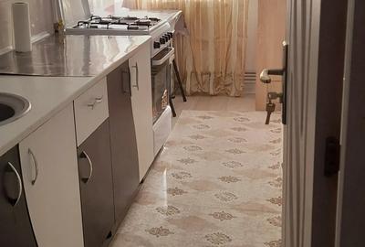 Ichiriere garsoniera Ichiriere garsoniera - 4