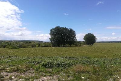 Casă cu 2 camere în Central - 1