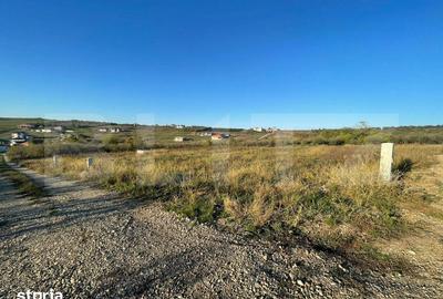 Teren de 630 mp, în Paleu - 3