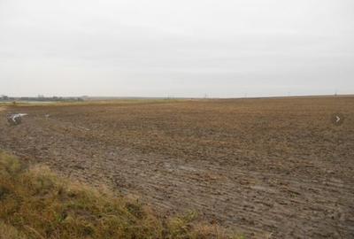 2 loturi teren comuna 23 August, Constanta - 3