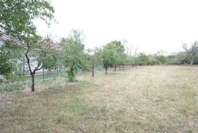 Teren de 1777 mp, în Buda (Ariceștii Rahtivani) - 1
