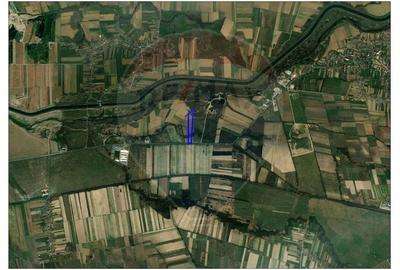 Teren Construcții intravilan de 21145 mp, în Săbolciu - 2
