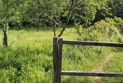 Casă cu 2 camere în Berislăvești - 4