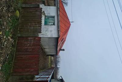 Casă în Garoafa - 3