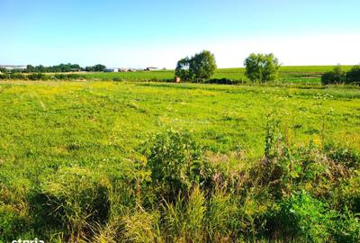 Teren de 18247 mp, în Chișlaz - 9