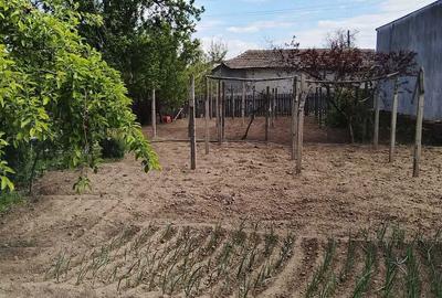 Casă cu 4 camere în Viile - 6