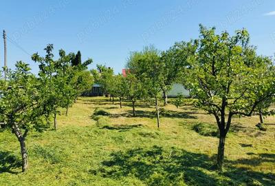 Casă cu 4 camere în Măcărești - 5