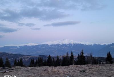 Teren de 470000 mp, în Moisei - 3