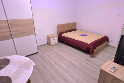 Dristor garsoniera mobilata si utilata de inchiriat Dristor garsoniera mobilata si utilata de inchiriat - 10