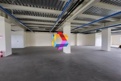 Spatiu - 1240 mp #plus-imo.ro - 3