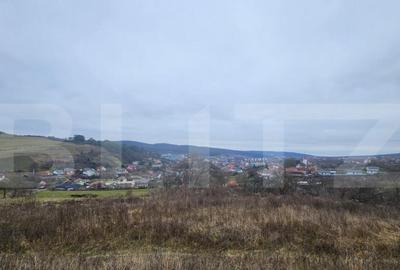 Teren intravilan 4774 mp de vanzare in Livezeni - 4