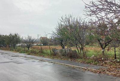 Valu lui Traian, teren intravilan, 3.200mp, vanzari - 1