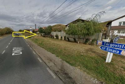 Teren intravilan 4.300 mp - Aninoasa, Dâmbovița | COMISION 0% - 9