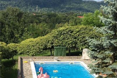 Vila deosebita 9 camere - Cornu de Jos - 23