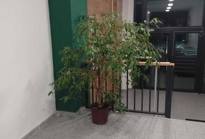 Apartament cu 2 camere decomandat în Central - 7