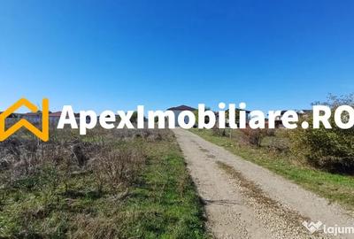 Teren în Corbeanca - 12