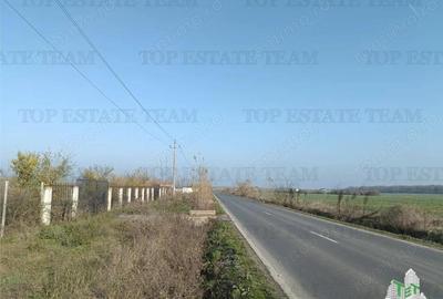 Super teren intravilan (Lot 1) la DJ 101, loc. Gruiu IF, ideal pentru dezvoltatori imobiliari pentr - 8