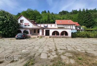 Casa P+1+M, Lipova