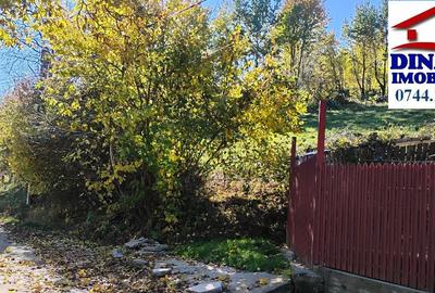 3600 mp teren intravilan, sat Bistrita, 16 Euro/mp - 7