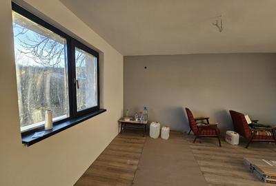 Casă cu 2 camere cu Teren 1628 Mp în Băița - 3