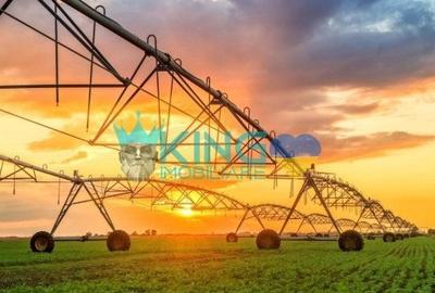 Teren agricol extravilan de 16000000 mp, în Teleormanu