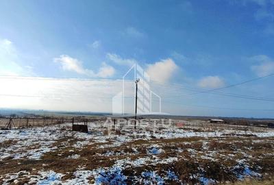 Teren intravilan Comision ZERO%, Sebis Arad - 2