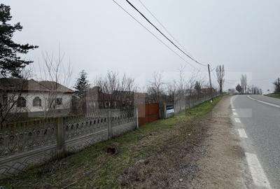 Casă individuală cu 3 camere cu Teren 2714 Mp în Exterior Sud - 9