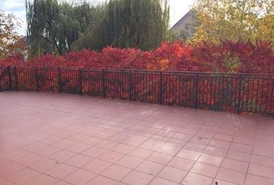 Imobil versatil cu multiple posibilitati de utilizare,550mp,Zona Buna Ziua Imobil versatil cu multiple posibilitati de utilizare,550mp,Zona Buna Ziua - 2