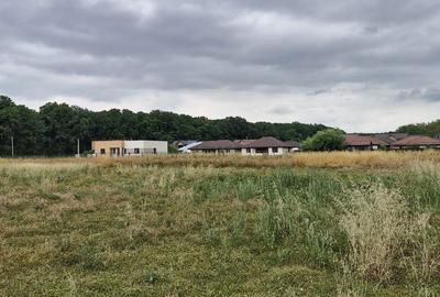 Spațiu comercial, în Balotești - 5