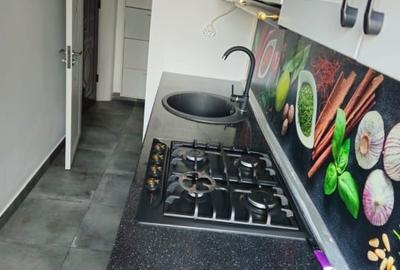 Apartament cu 3 camere semidecomandat, mobilat în Șagului - 8