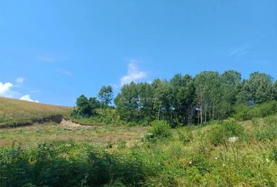 Teren de 4500 mp, în Brebu - 3