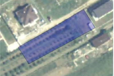 Teren Intravilan Moara Vlasiei 963 mp, Zona Superba, - 1