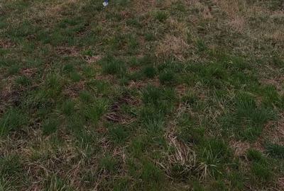 Spațiu comercial, în Alparea - 1