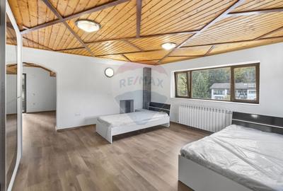 Proprietate cu potențial uriaș – Timișul de Sus – Brașov - 26