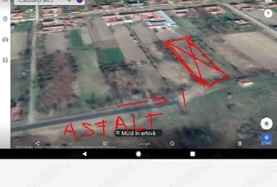 Teren de 1720 mp, în Coșteiu - 5