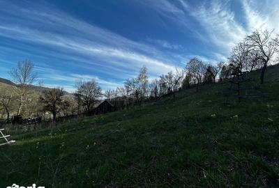 Teren de 2500 mp, în Valea Doftanei - 5