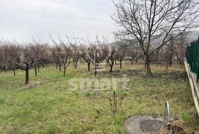 Teren Construcții intravilan de 800 mp, în Borhanci - 2