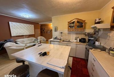 Apartament cu 7 camere în Ultracentral - 9