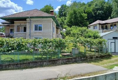 Casa 220 mp - comuna Muereasca (jude?ul Valcea) - 2