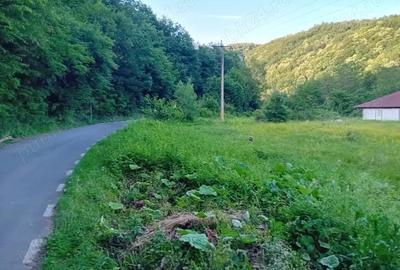 Vand casa de vacanta la rosu - 3