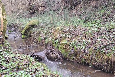 Teren de 4300 mp, în Ciurila - 6