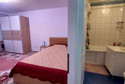 Garsoniera spațioasă Dristor Alba Iulia - 2