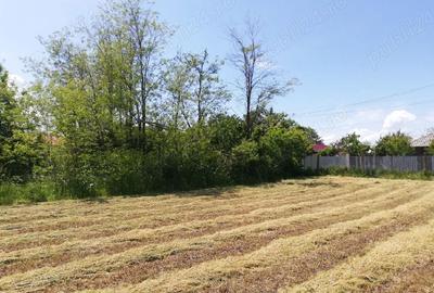 Casă cu 1 camere cu Teren 2500 Mp în Radu Vodă - 6