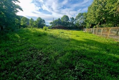 Teren 1,749mp Piatra-Neamt / Strada Zambilelor - 17